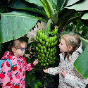 GlobalKids. Вересень 2026